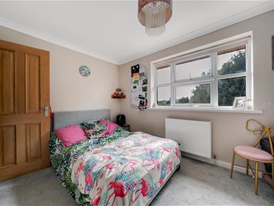 Picture 20